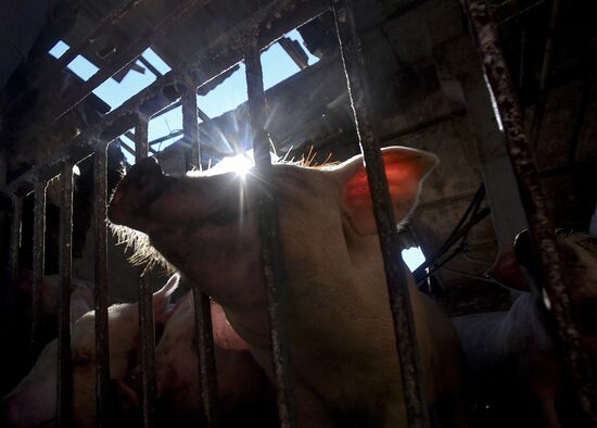 Последствия обстрелов в Запорожской области