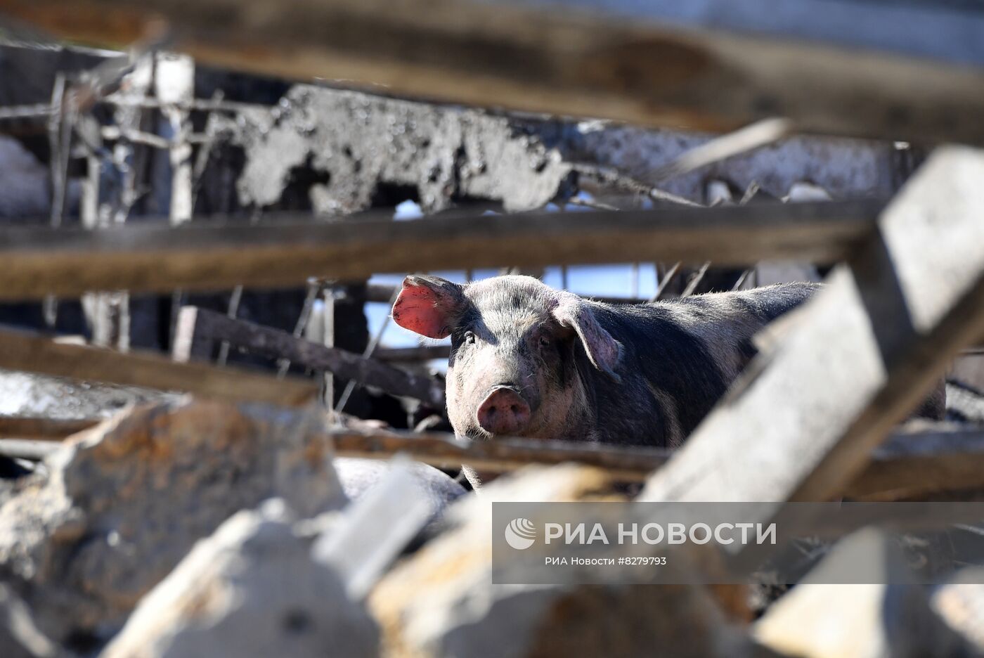 Последствия обстрелов в Запорожской области
