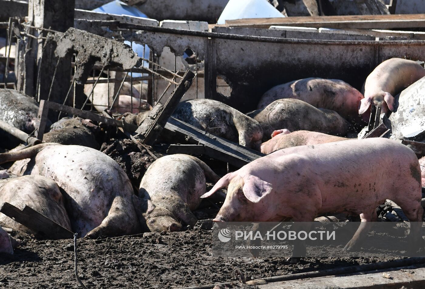 Последствия обстрелов в Запорожской области