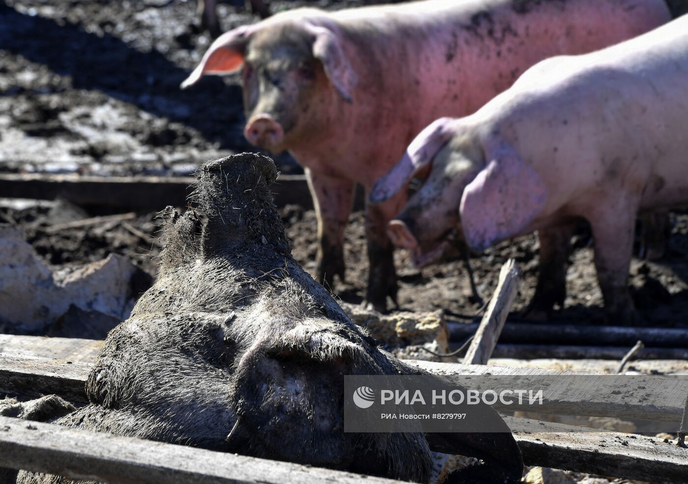 Последствия обстрелов в Запорожской области