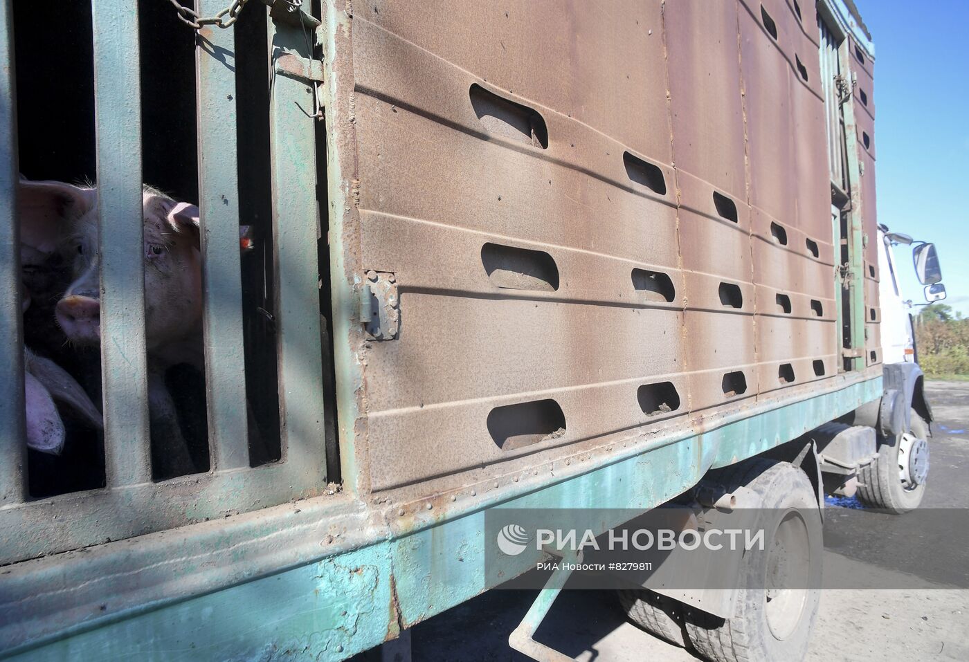 Последствия обстрелов в Запорожской области