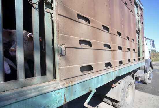 Последствия обстрелов в Запорожской области