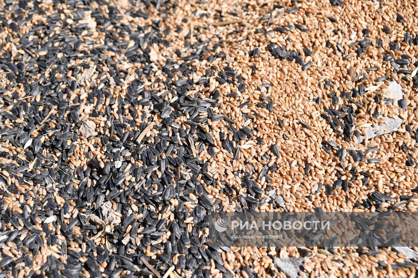 Последствия обстрелов в Запорожской области