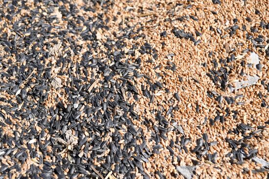 Последствия обстрелов в Запорожской области