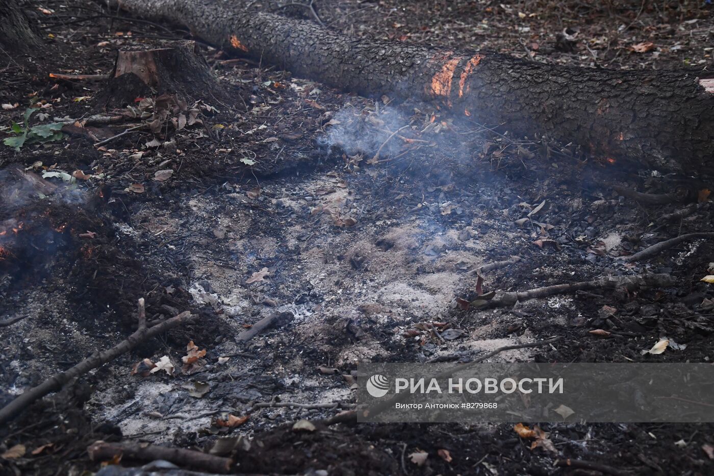 Казачьи подразделения в районе Красного Лимана в ДНР