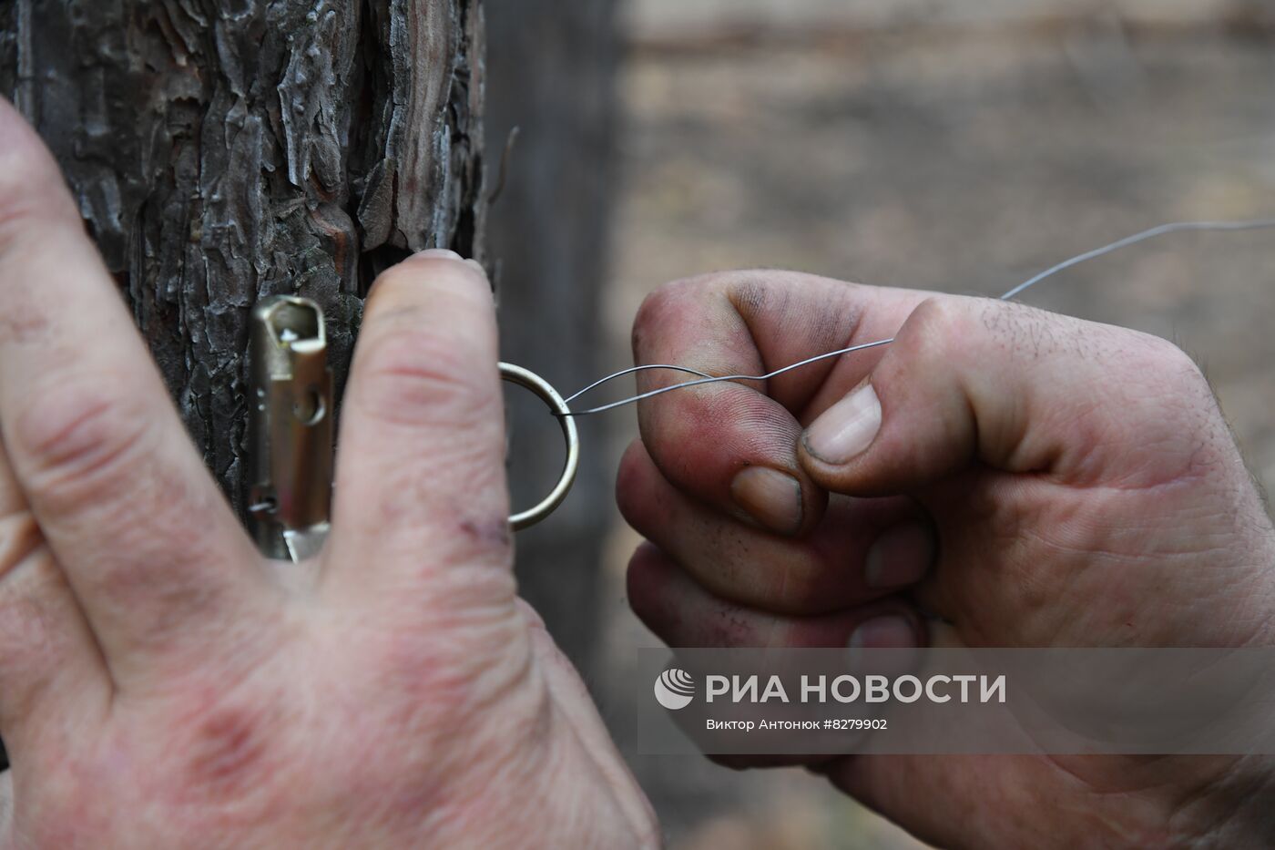 Казачьи подразделения в районе Красного Лимана в ДНР