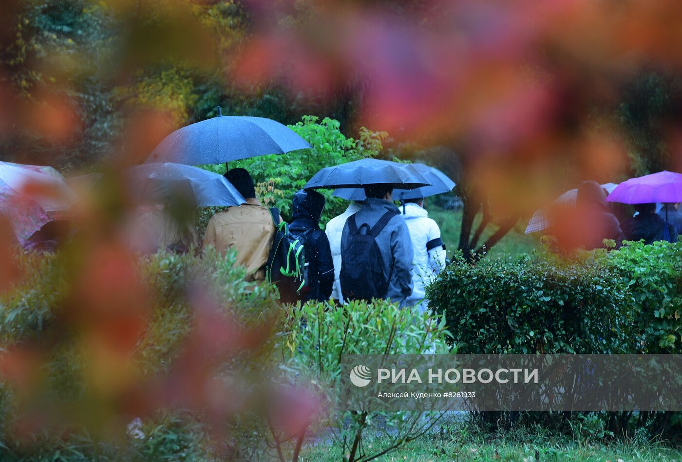 Ливень в Москве