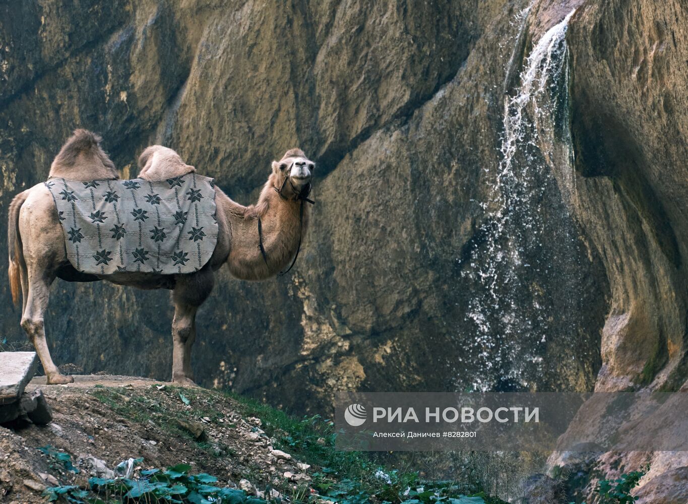 Регионы России. Кабардино-Балкария