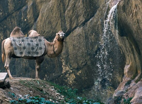 Регионы России. Кабардино-Балкария