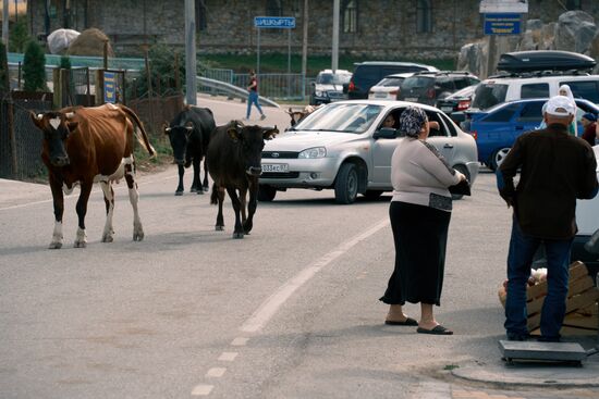 Регионы России. Кабардино-Балкария