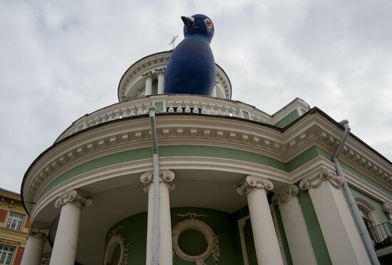 Голубь Аннатолий на колокольне церкви Аннекирхе