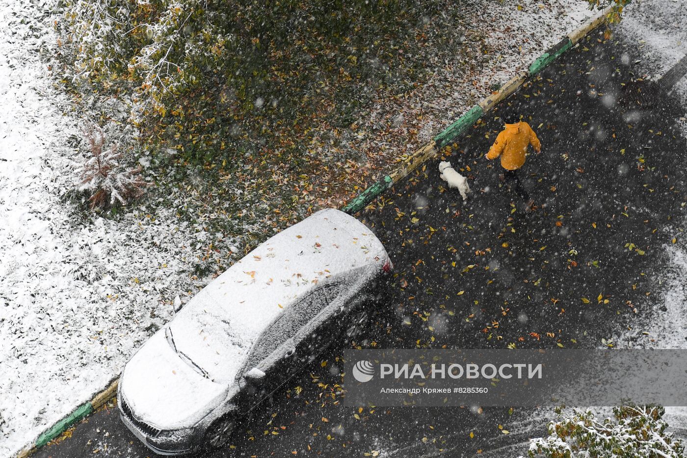 Первый снег в Новосибирске