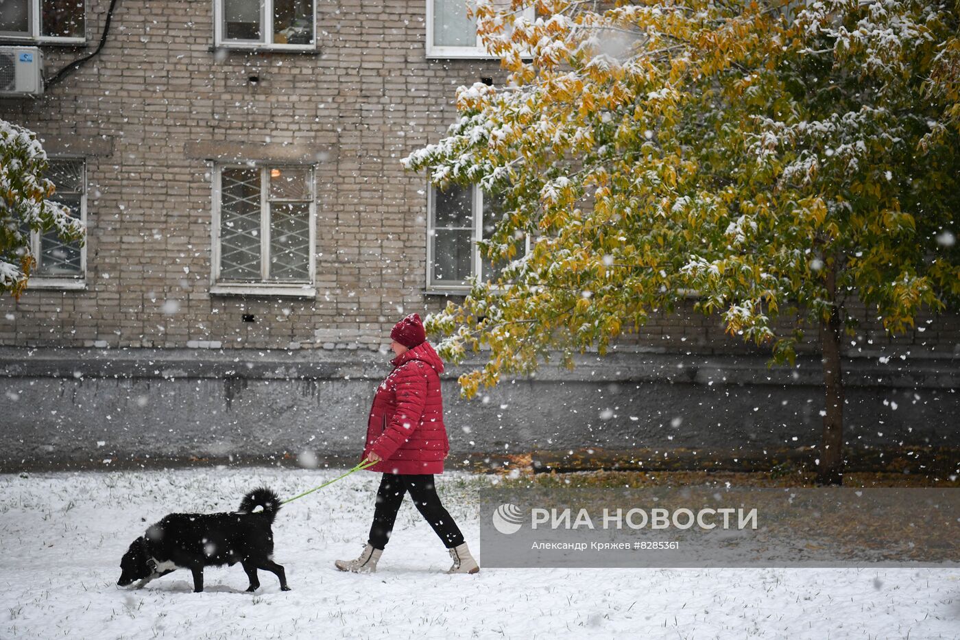 Первый снег в Новосибирске