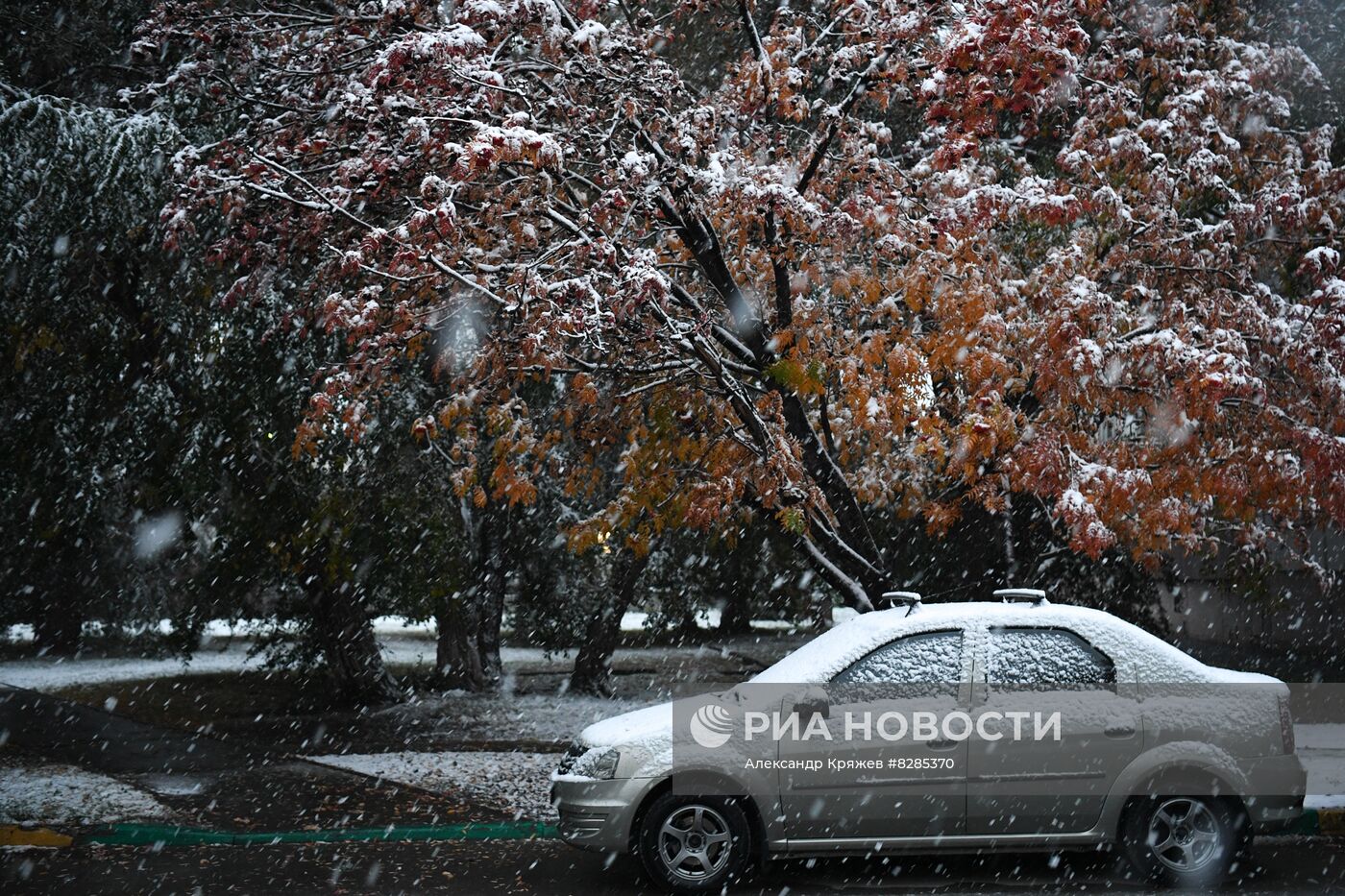 Первый снег в Новосибирске