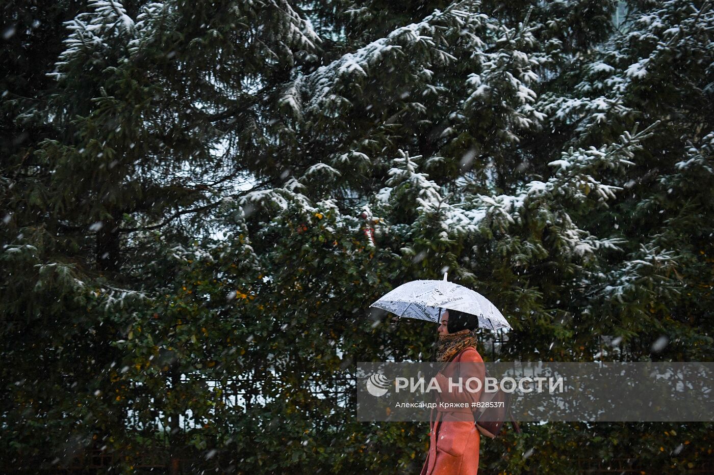 Первый снег в Новосибирске