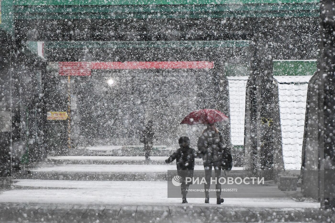 Первый снег в Новосибирске