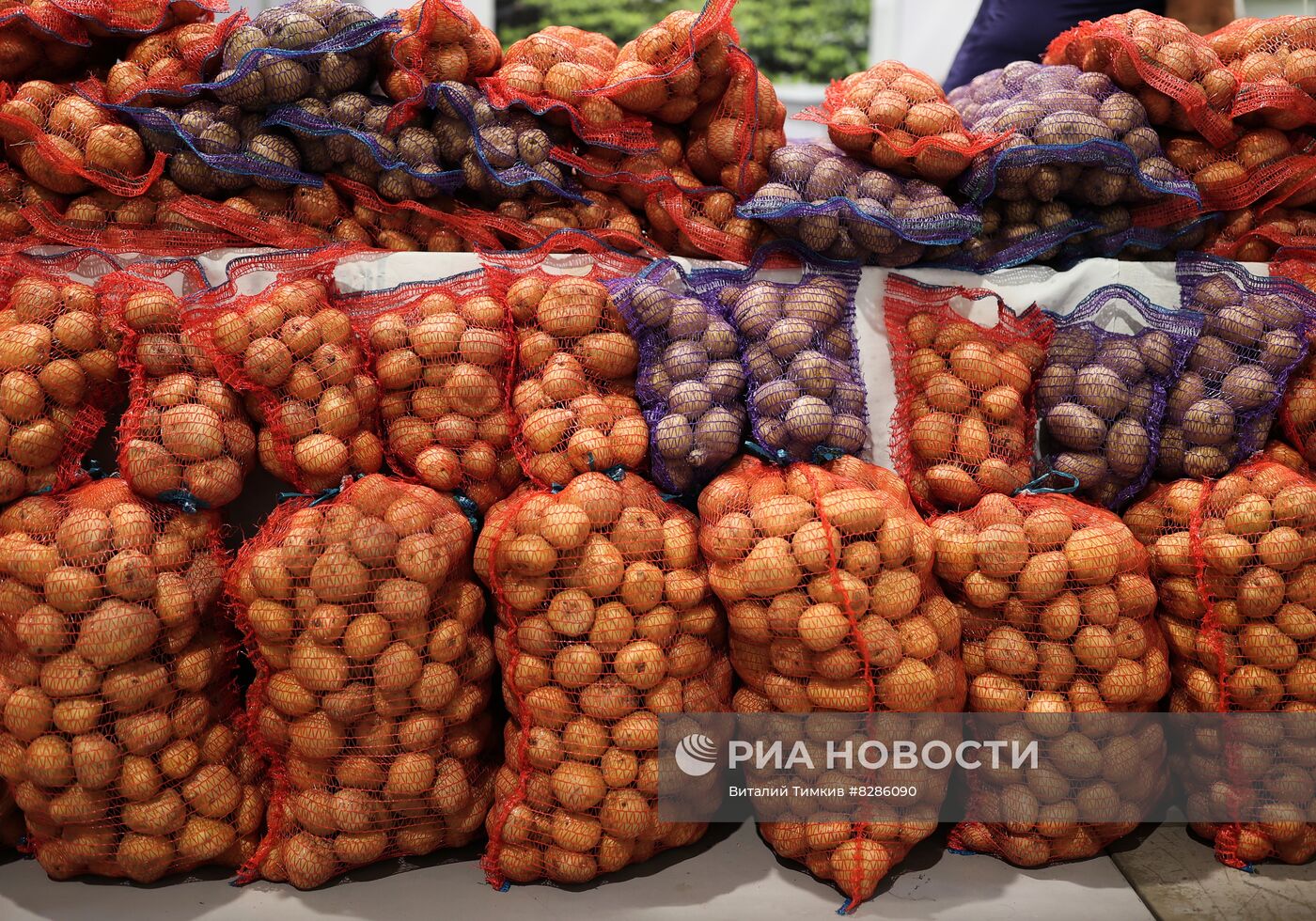 Открытие агропромышленной выставки "Кубанская ярмарка"