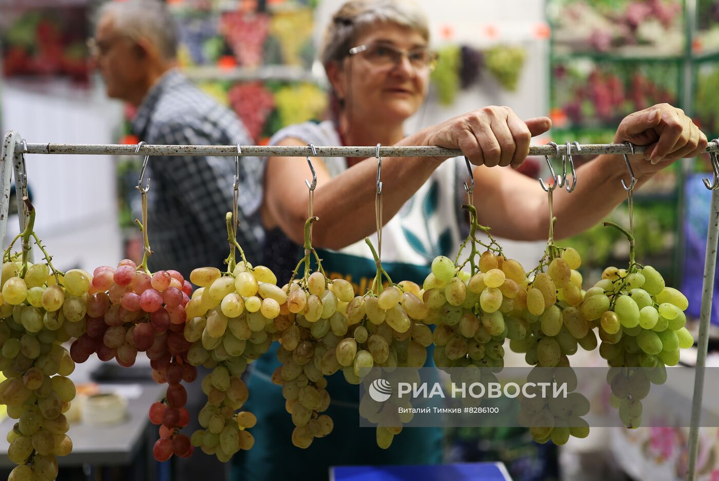 Открытие агропромышленной выставки "Кубанская ярмарка"