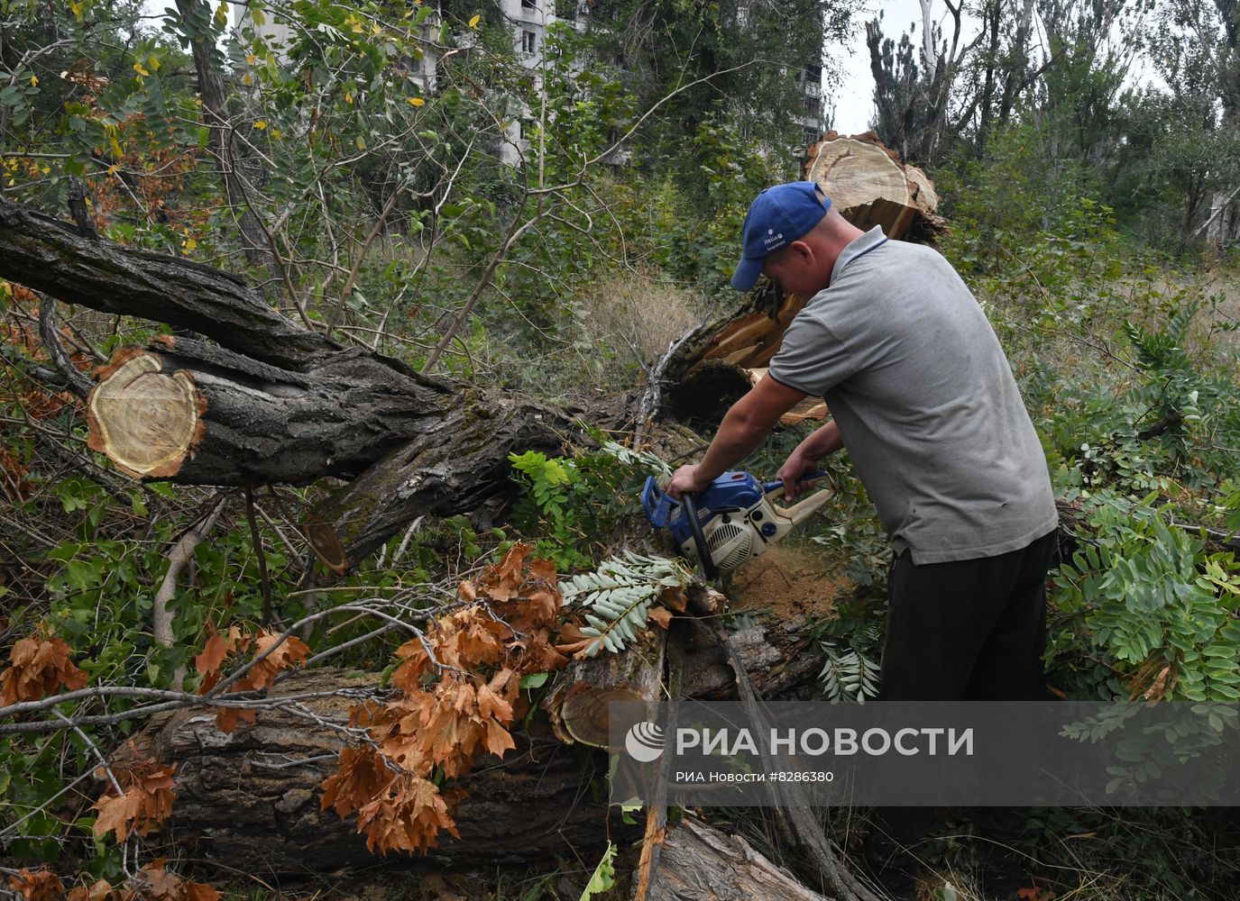 Повседневная жизнь в Мариуполе