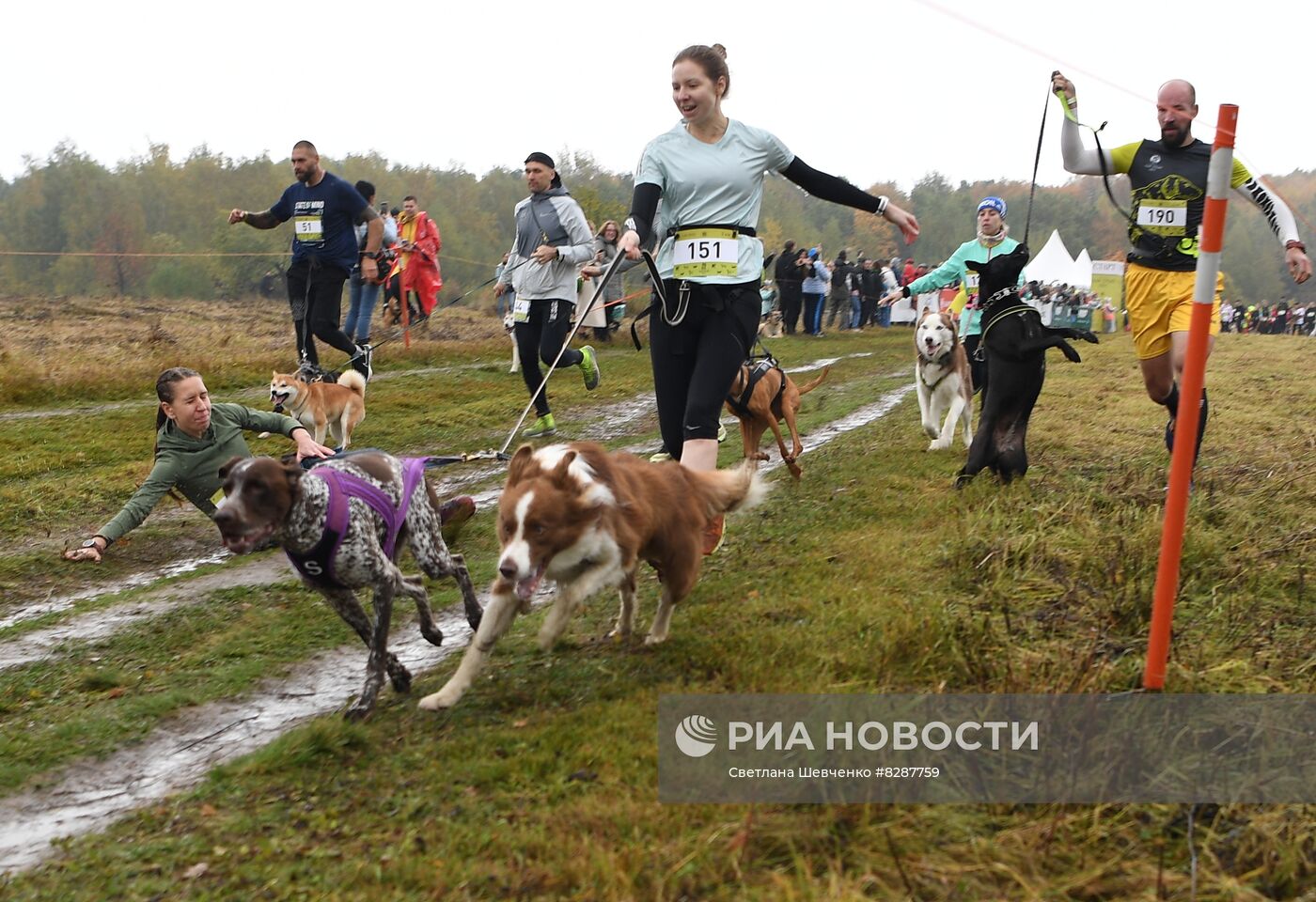 Кросс "Быстрый пёс"