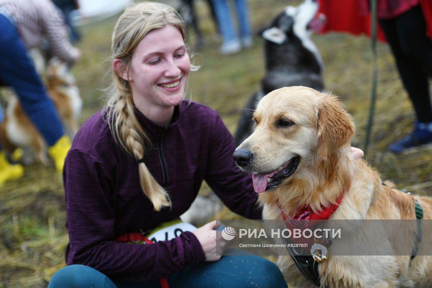 Кросс "Быстрый пёс"