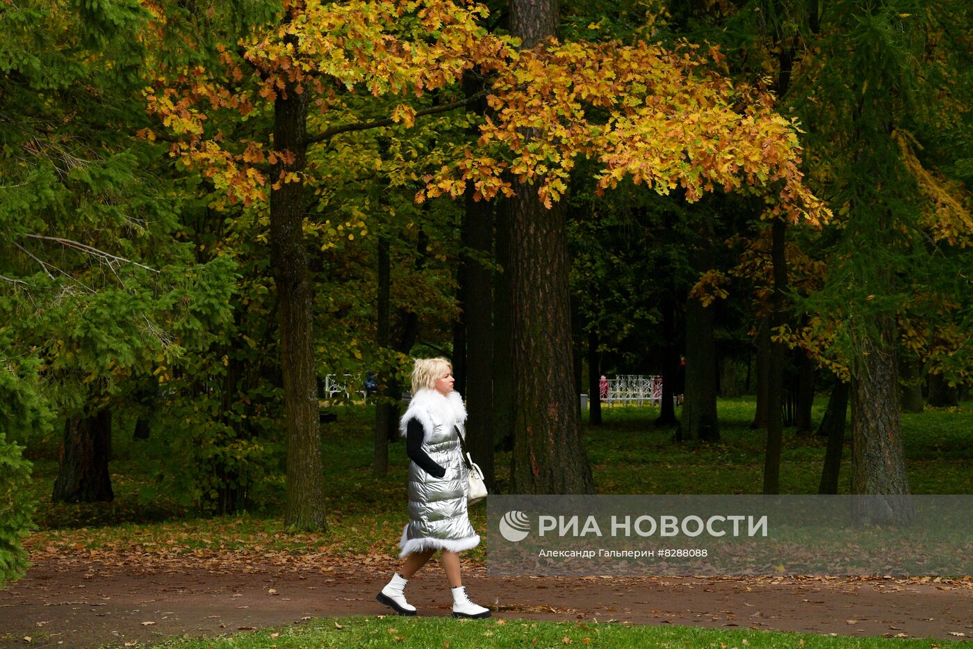 Осень в Царском Селе