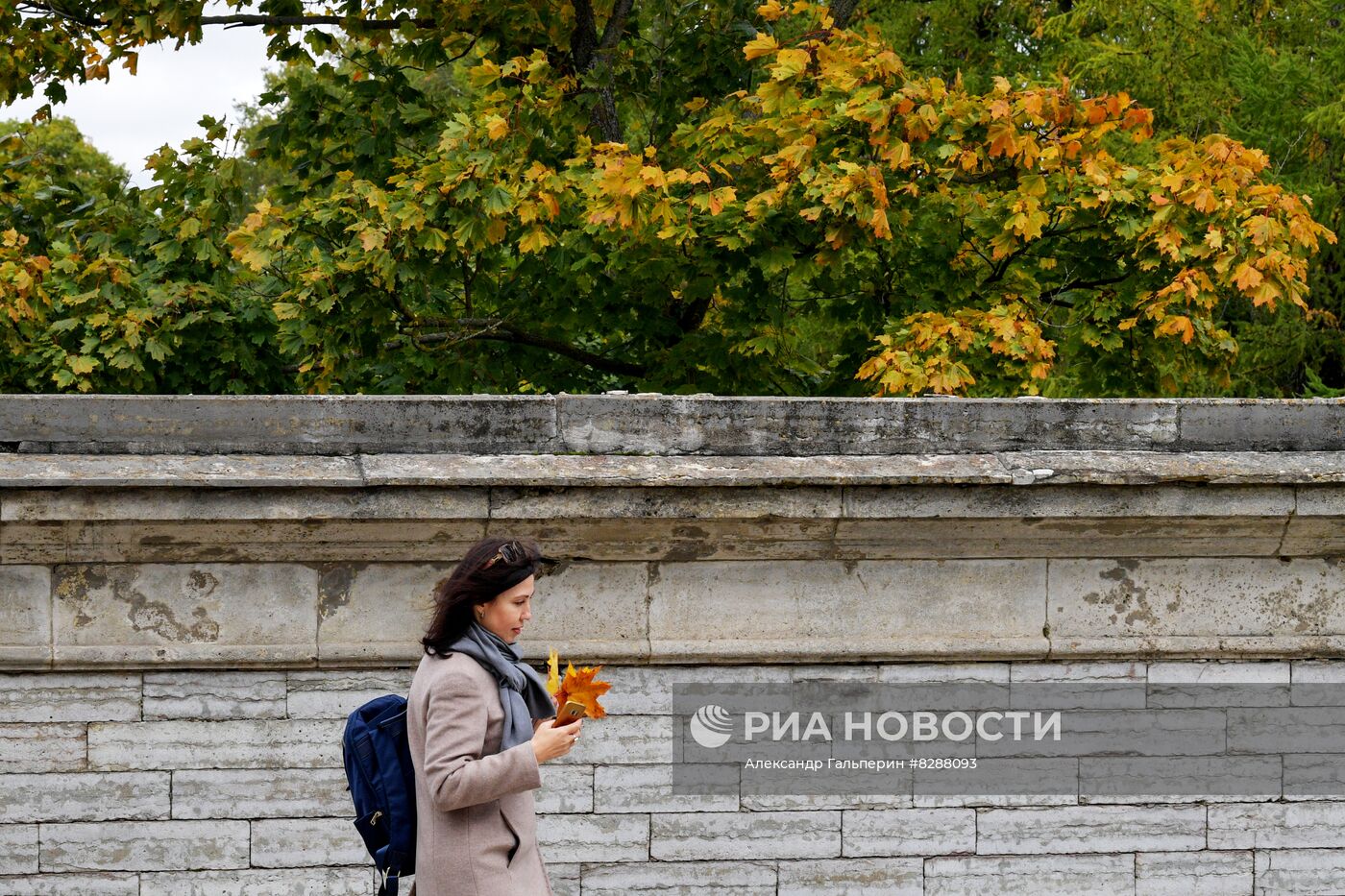 Осень в Царском Селе
