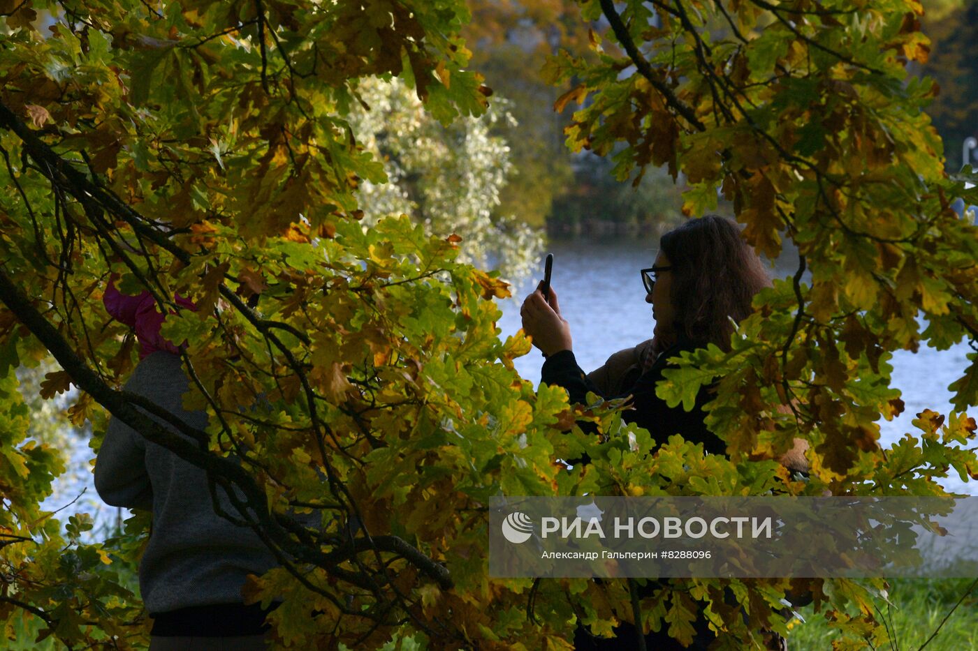 Осень в Царском Селе