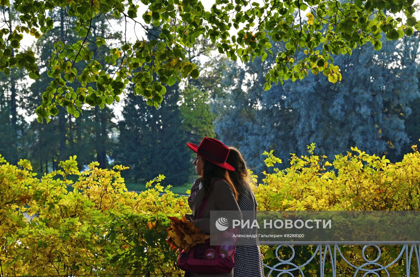 Осень в Царском Селе