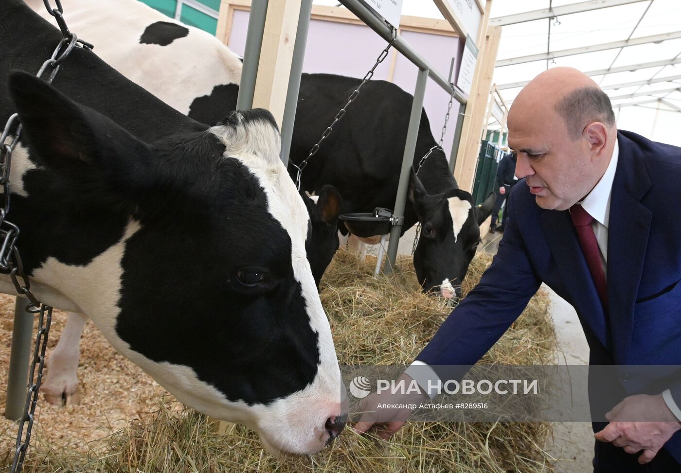 Премьер-министр РФ Михаил Мишустин посетил российскую агропромышленную выставку "Золотая осень – 2022"