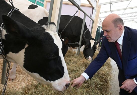 Премьер-министр РФ Михаил Мишустин посетил российскую агропромышленную выставку "Золотая осень – 2022"