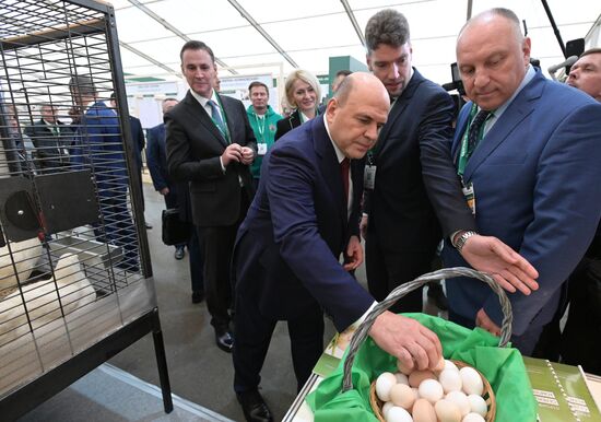 Премьер-министр РФ Михаил Мишустин посетил российскую агропромышленную выставку "Золотая осень – 2022"