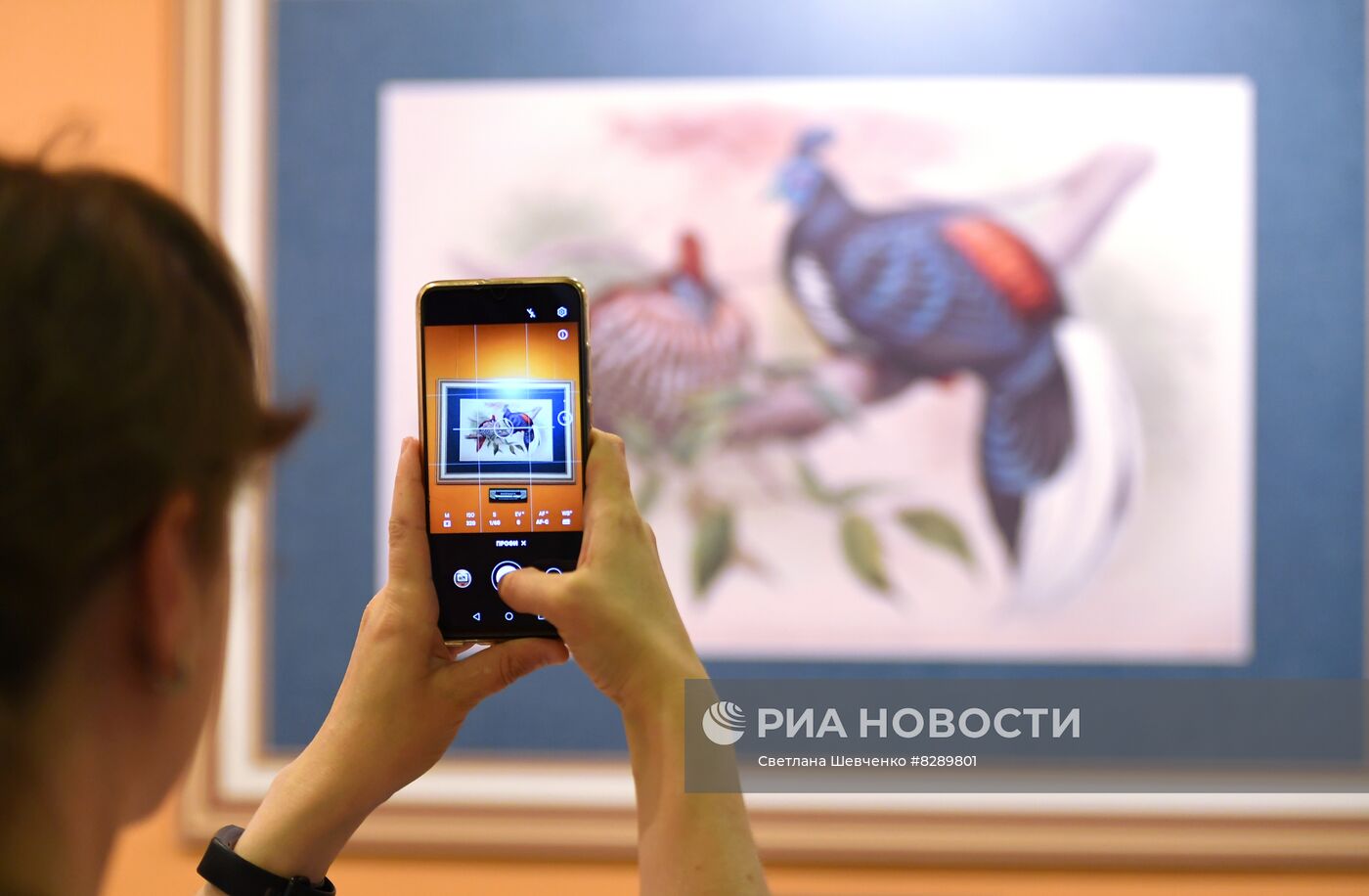 Хранилища Дарвиновского музея