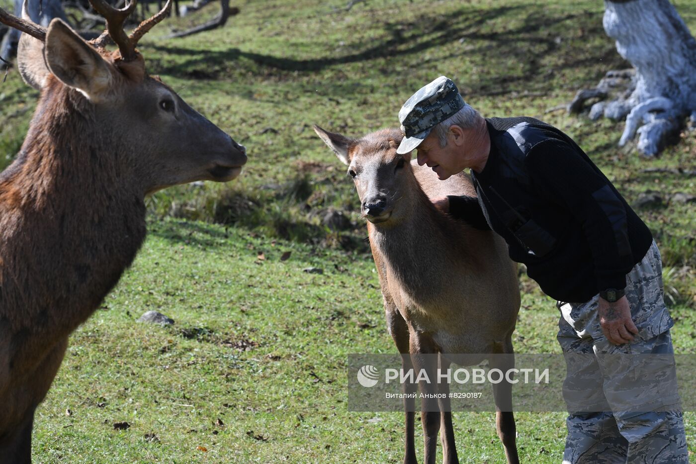 Экопарк "Леопарды на Гамова" в Приморском крае