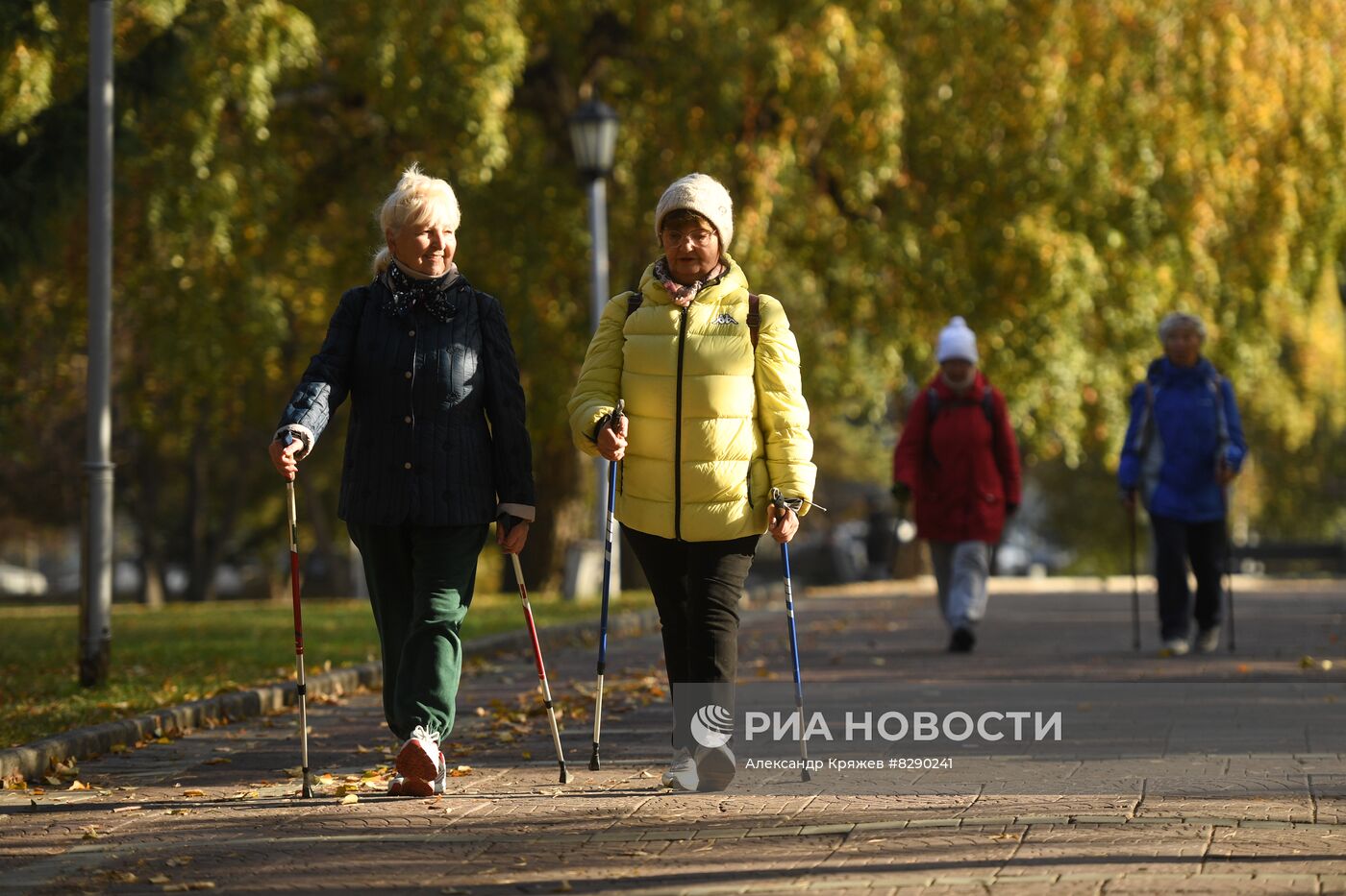 Занятия по скандинавской ходьбе в Новосибирске