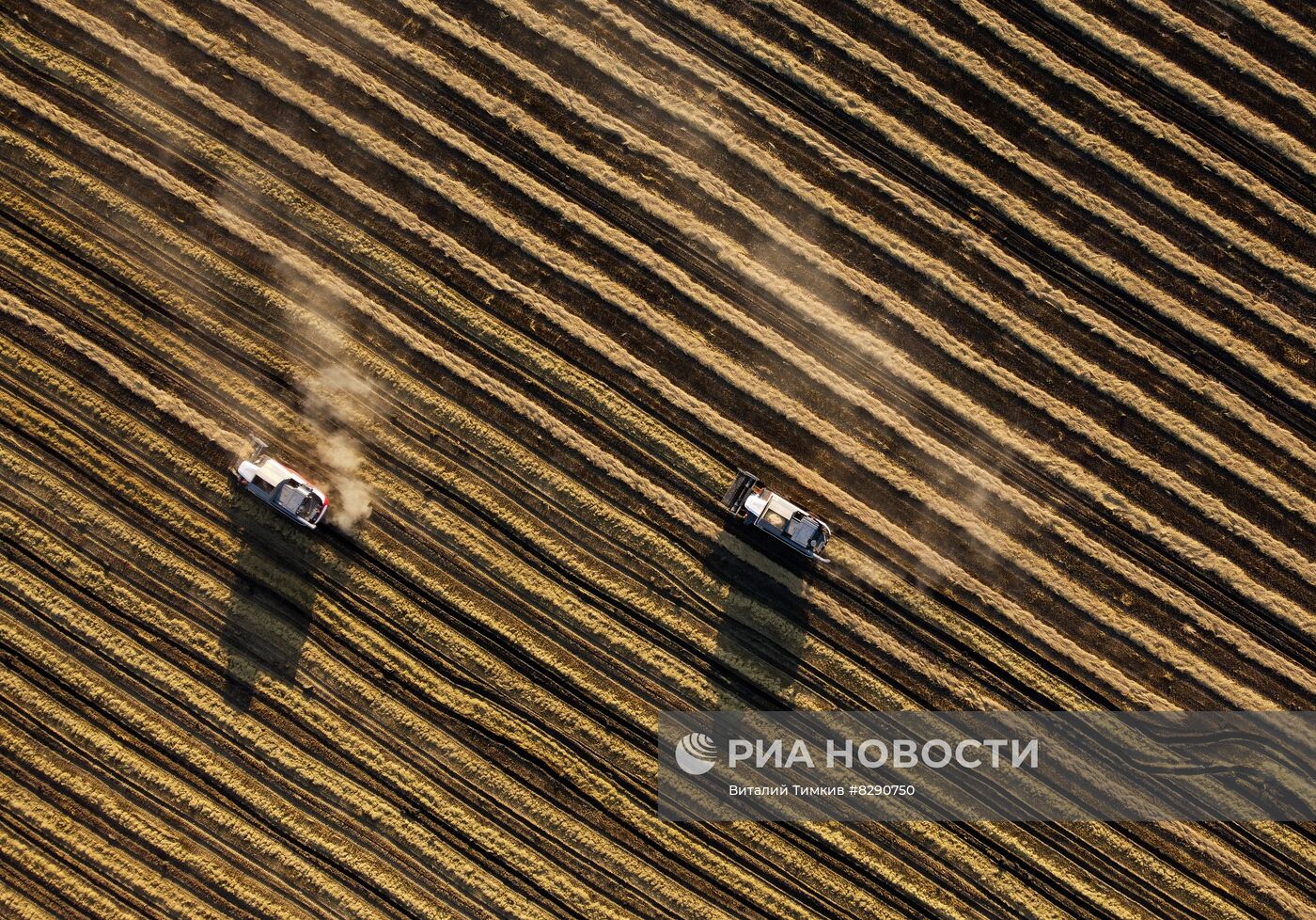 Производство риса в Краснодарском крае