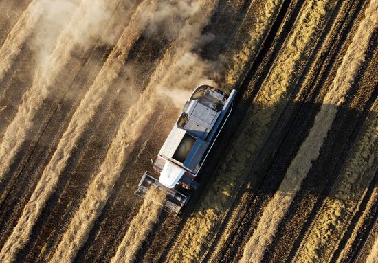 Производство риса в Краснодарском крае