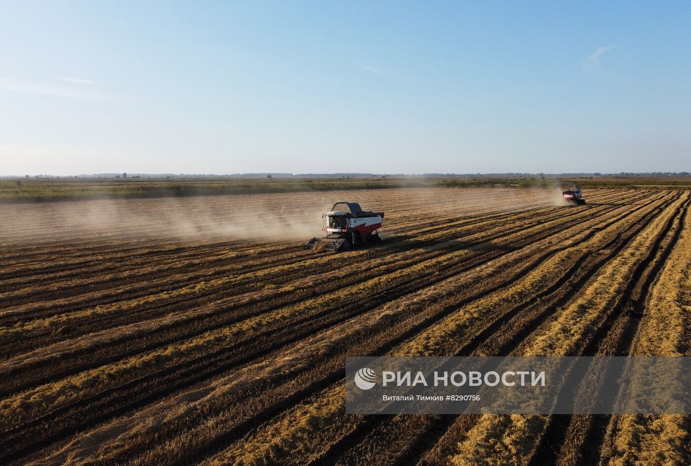 Производство риса в Краснодарском крае