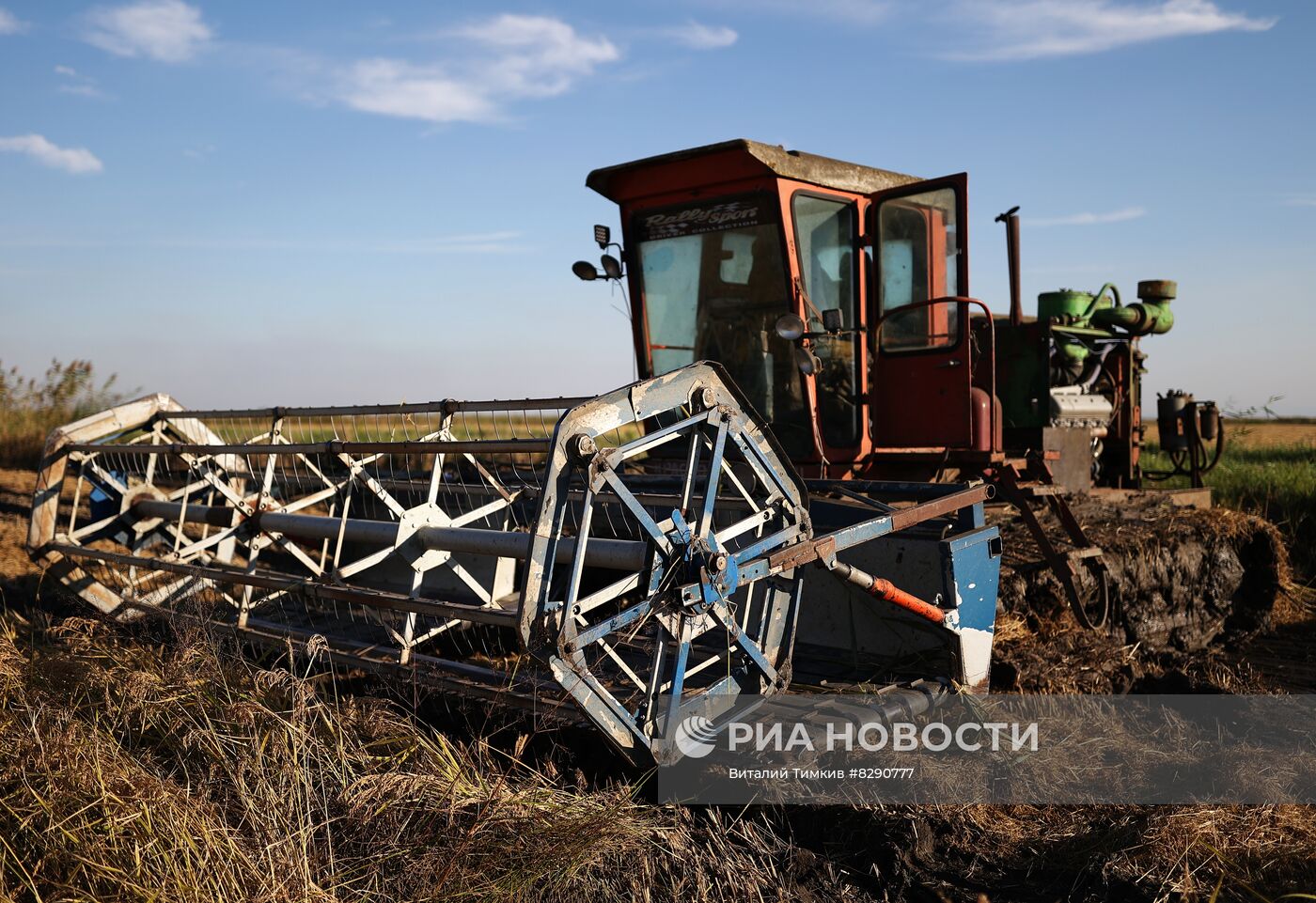 Производство риса в Краснодарском крае