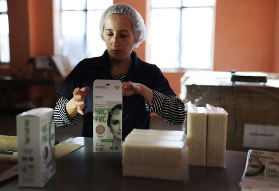 Производство риса в Краснодарском крае