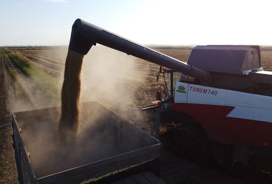 Производство риса в Краснодарском крае