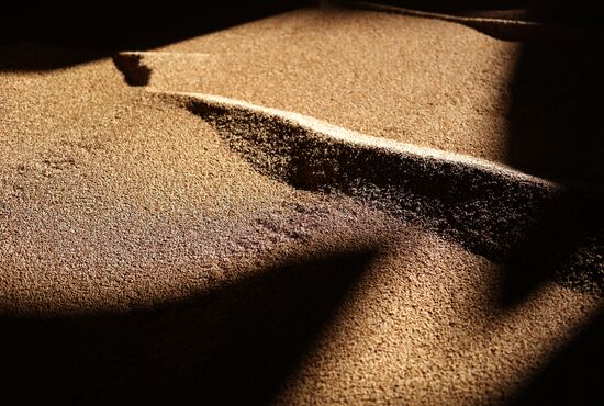 Производство риса в Краснодарском крае