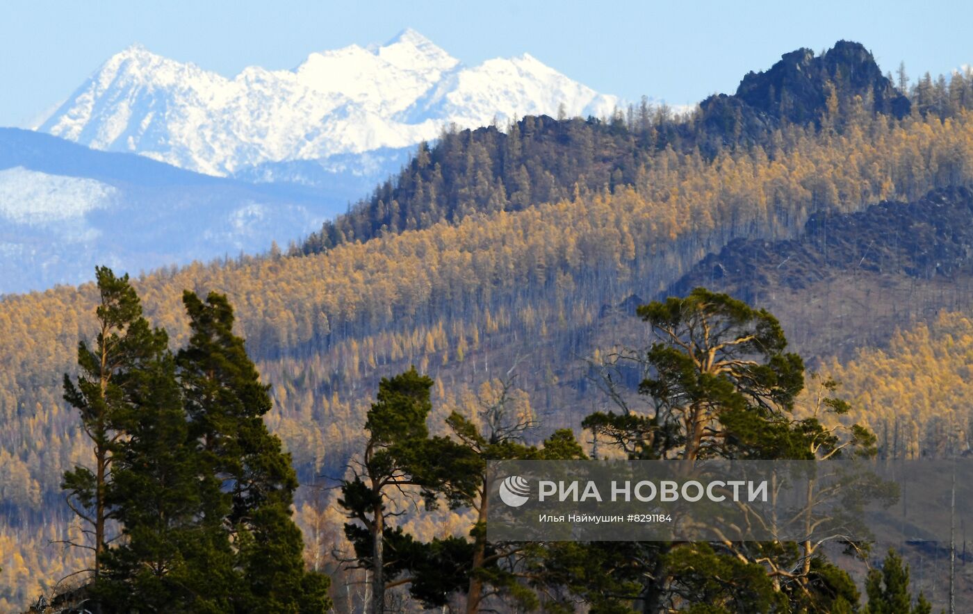 Золотая осень в России