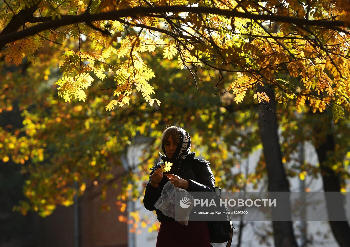 Золотая осень в России