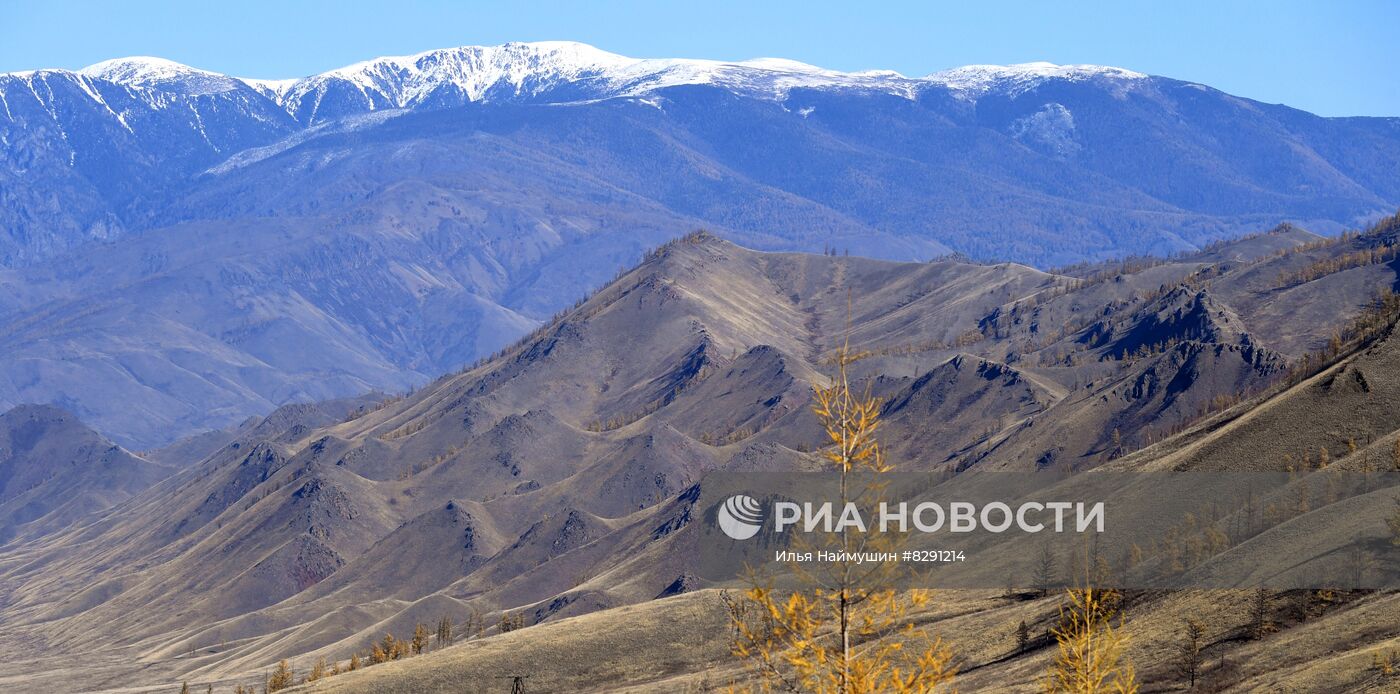 Золотая осень в России