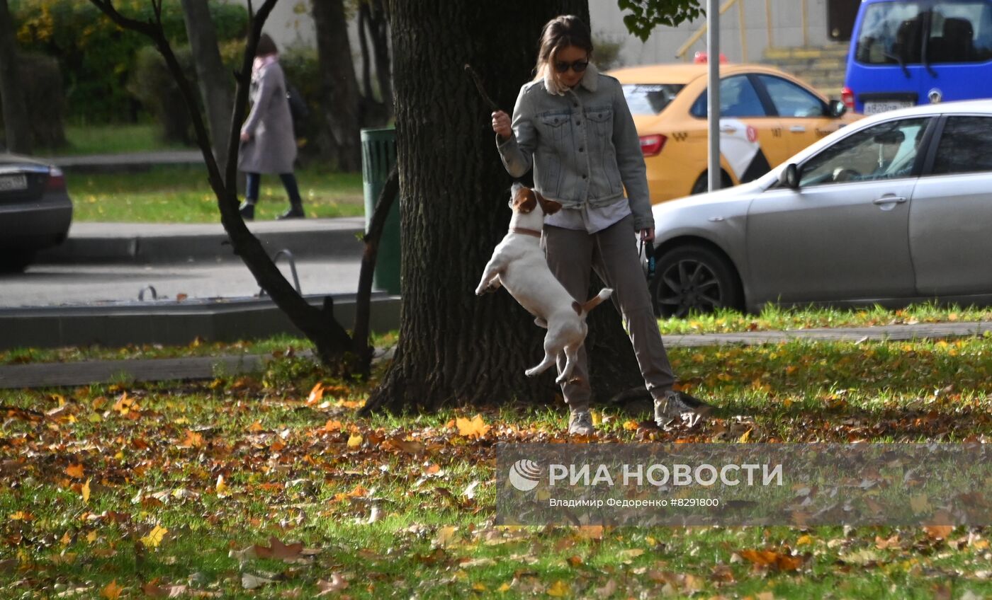 Золотая осень в Москве