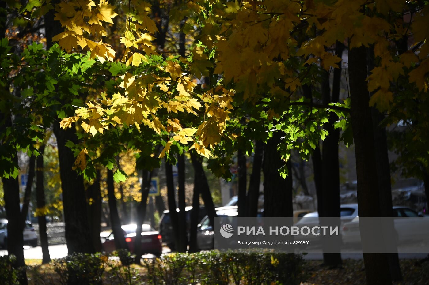 Золотая осень в Москве