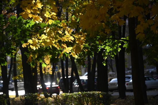 Золотая осень в Москве