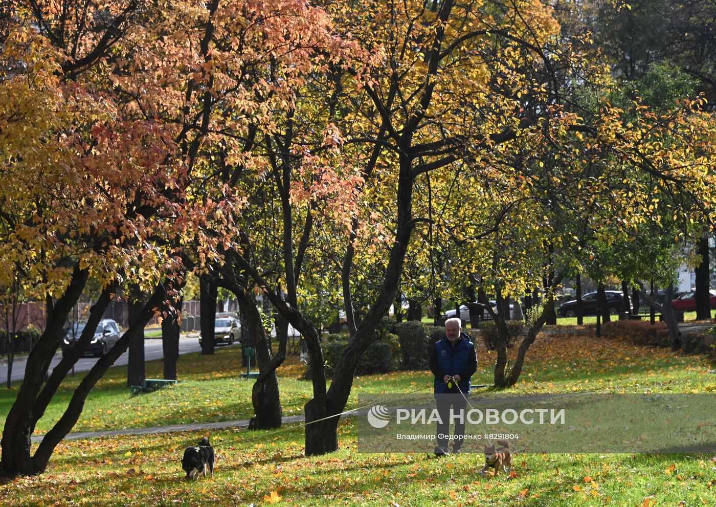 Золотая осень в Москве