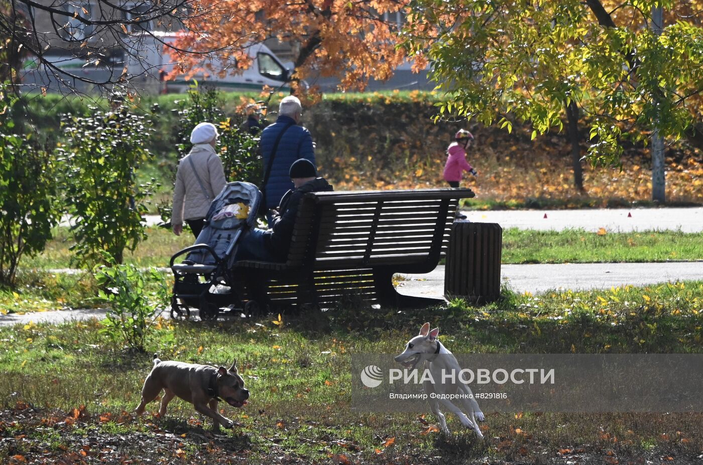 Золотая осень в Москве